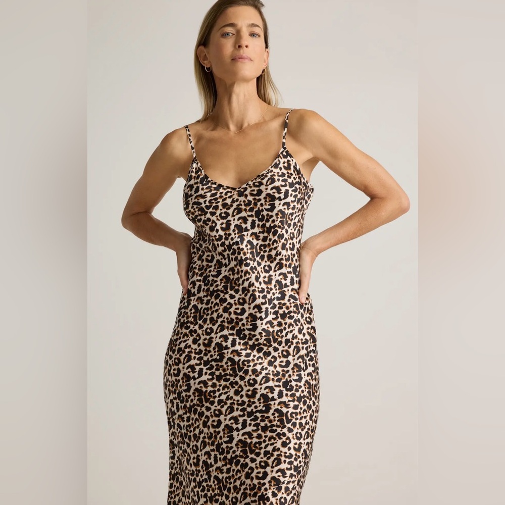 Quince 100% Washable Silk Slip Dress